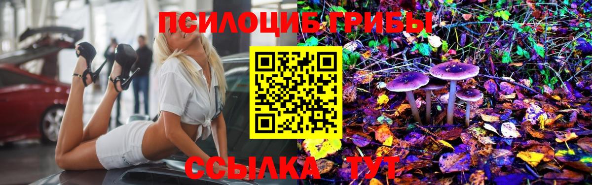 Галлюциногенные грибы Cubensis Ухта
